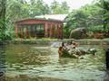 Keralam, which means "land of Keras