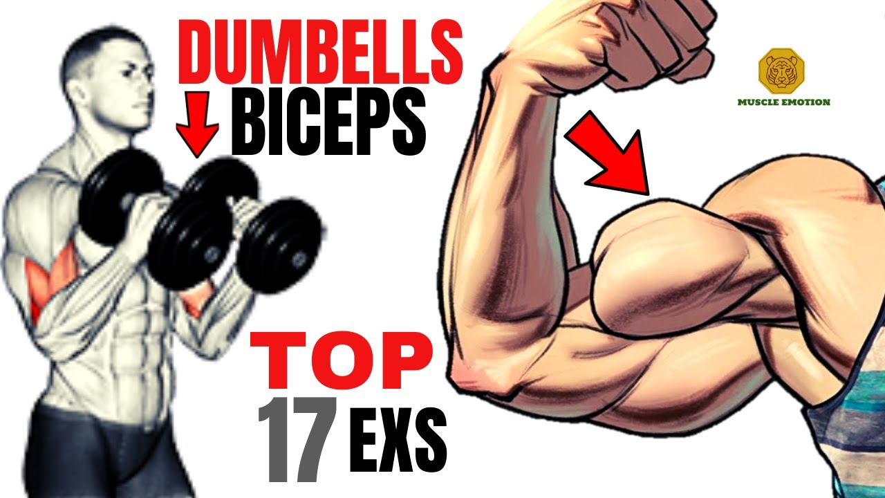 Норма бицепса в 16