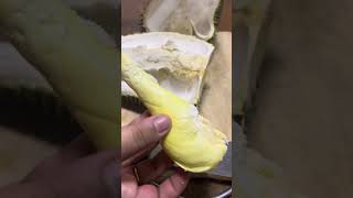 Cutting durian, sweet and yummy