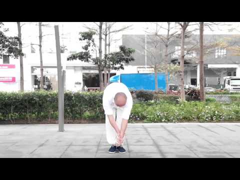螳螂拳真傳少林羅漢功第九式鐵牛耕地
