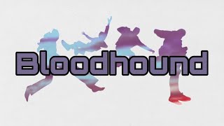5 Seconds of Summer - Bloodhound