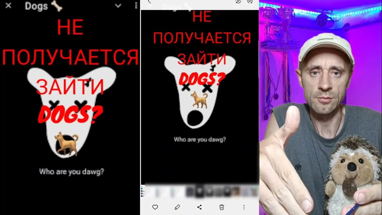 dogs не работает, не заходит?, листинг ждешь 14? - YouTube