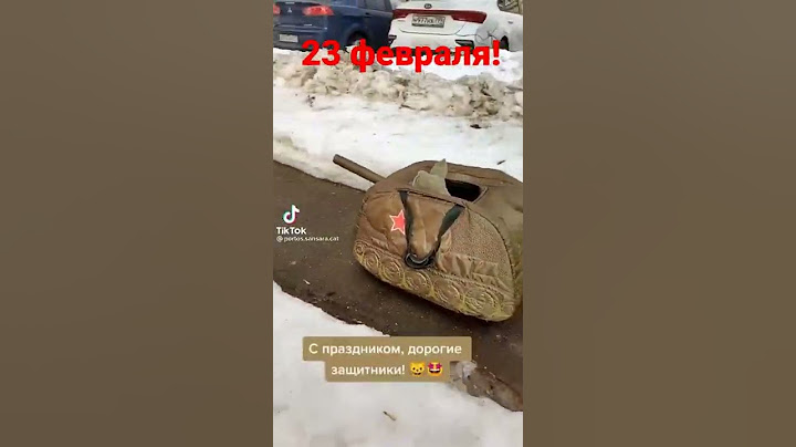 23 февраля.Кот в танке. Это вам не тра ля ля это праздник для героев