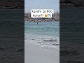 Kanáry pod 1000 korun? Neni problem?