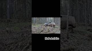 Куда занесло #nepoasfaltu #4х4 #Сюзанна #Suzanna  #offroad #оффроад #сузуки #эскудо #suzuki #escudo