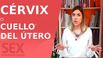 ¿Puedes saber si te viene la regla por el cuello del útero?