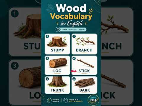 Stop Saying WOOD for everything #englishtextbook #readingeanglish #education #easyenglisheveryday