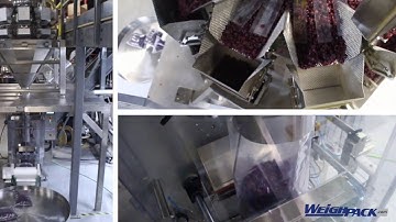 PrimoCombi® multihead weigher dispensing dried cranberries into vertical form and sealed pouches