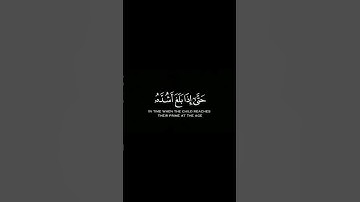 ووصينا الانسان بوالديه احسانا #القرآن_الكريم #القارئ_اسلام_صبحي