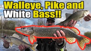 Experience the Excitement: Fishing for Walleye, White Bass, and Pike!!