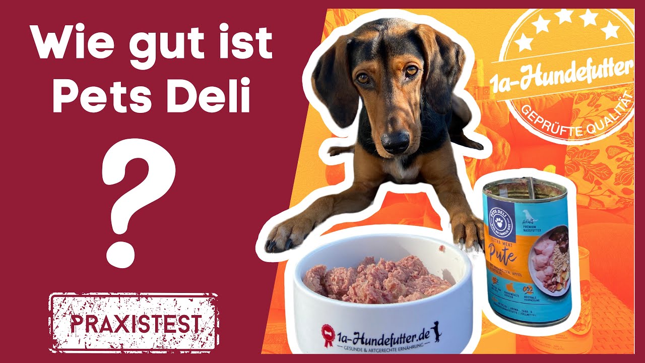 Pets Deli Hundefutter Test (Erfahrungen & Bewertung)