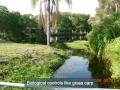 Lake Restoration Project - Lake Judy Lee - Largo Florida - Eco Pond Rescue