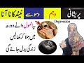 How to treat anxiety and depression with poppy seed & milk in Urdu | Anam Home Remedy