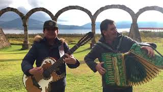 Video thumbnail of "Los Alegres Del Barranco. El Michoacano (En Vivo) Acordeón y Bajo Sexto"