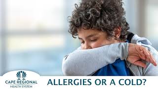 Allergies - Herald Health Minute