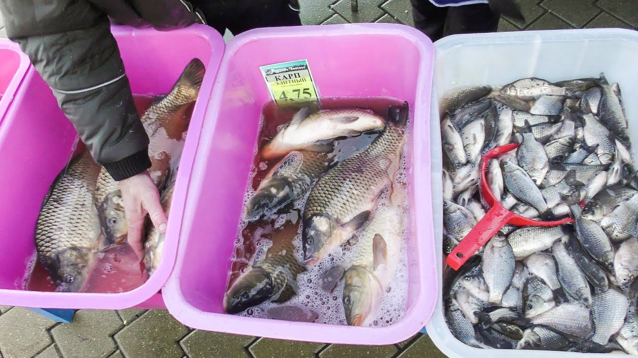 Selling Live Fish on the Street. Old Style Russian Market. Minsk