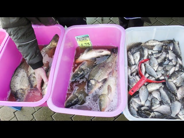 Minsk, Belarus. Selling Live Fish on the Street. Old Style Russian Market