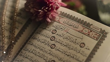 سورة فصلت للشيخ مشاري العفاسي Surah Fussilat - Mashari Al-Afasi