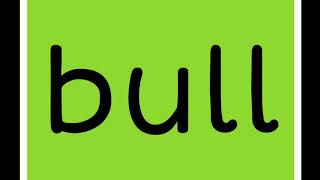 Celebrity Word Family -ull Net Worth