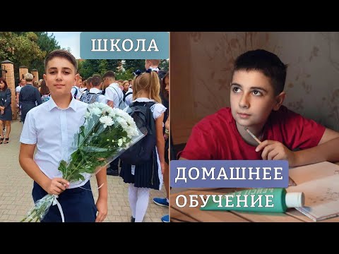 Школа/Домашнее обучение/Семейное образование. Плюсы и минусы.  МОЕ МНЕНИЕ