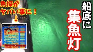 集魚灯を使って釣りをすると釣れ過ぎてやばい！