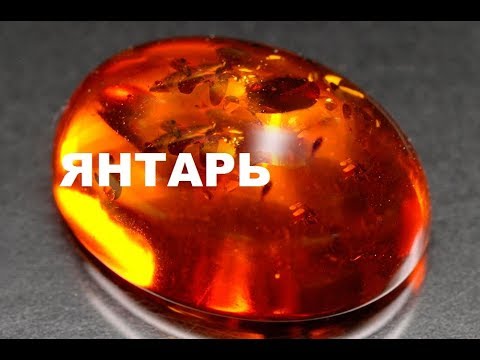 КОМУ ИЗ ЗНАКОВ ЗОДИАКА К ЛИЦУ ЯНТАРЬ