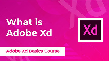 What is Adobe Xd Learn Adobe Xd Basics UX/UI Design Complete Course in Urdu /Hindi