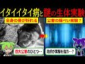 【実話】「イタイイタイ病は公害ではない」隠ぺいのために謎の生体実験を行う政府と戦った被害者たちの物語【ずんだもん＆ゆっくり解説】