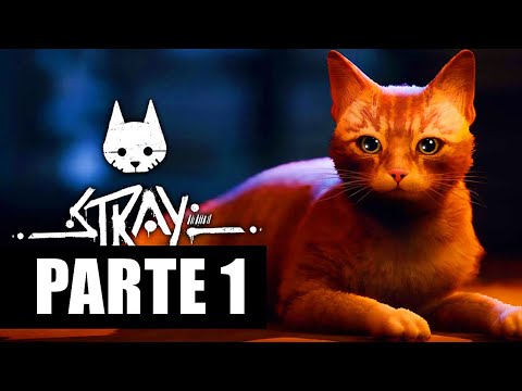 Stray  Jogo protagonizado por gato é lançado para PS4, PS5 e PC