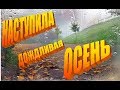 Осень