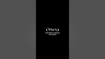 كروما شاشة سوداء قرآن كريم 🌿تلاوة من سورة النساء 🌿القارئ أيمن الوهيبي 🌿