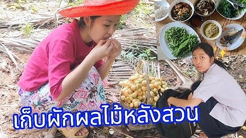 วันนี้ไปรับอ๋อมแอ๋มอั่งเปา ใช้ชีวิตบ้านๆอยู่โคกหนองนา กินง่ายอยู่ง่ายเก็บผักริมรั้ว 19/05/68