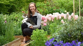 April Garden Tour 2022 // Naturalized Daffodils, Early Tulips, and Cool Flowers // Northlawn