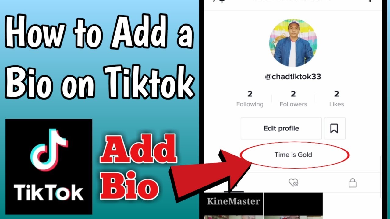 what is a bio in tiktok