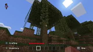 Minecraft But If I Take Damage The Video Ends