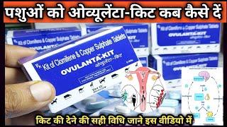 OVULANTA-KIT||Kit of Clomifene & Copper Sulphate Tablets||Heat generation formula for Buffalo Cow