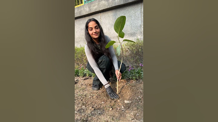 Planting 1 Lakh Trees In India 🇮🇳 #shortsfeed #socialwork #trending #viral