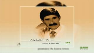 Abdullah Papur - Ağlamak Nedir | Postacı - Kara Tren | © Şah Plak
