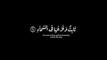 (ألم ترى كيف ضرب الله..)| ياسر الدوسري | سورة إبراهيم #krumat #reels #كرومات #quran #شاشه_سوداء