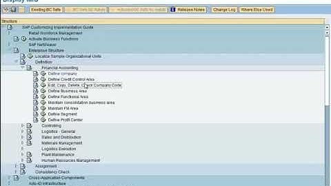 Define Company Code in SAP