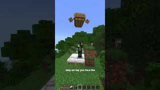 Flying boat glitch in bedrock #minecraft