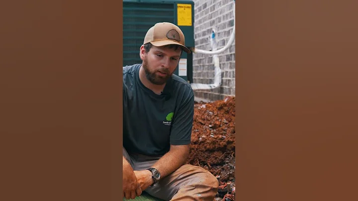 How Do Sprinkler Zones Work?