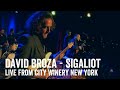 David broza  sigaliot live 052013 city winery nyc    
