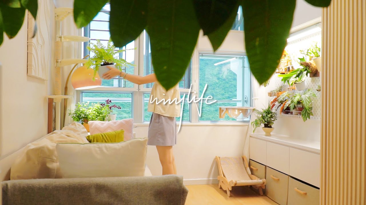 Озеленение стен 🌿 | Преображение дома 🏡 | Методы пересадки супер-дышащих растений 🪴