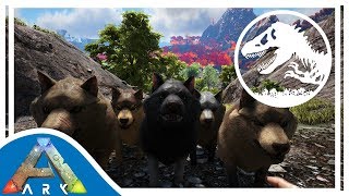Tamgin an Entire Direwolf Pack! | Ark: Jurassic Park | Episode 4