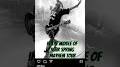 Profile Picture of UPDATE: Wayne Swinny of Saliva Has Died, RIP - YouTube (@youtube.com) on Google