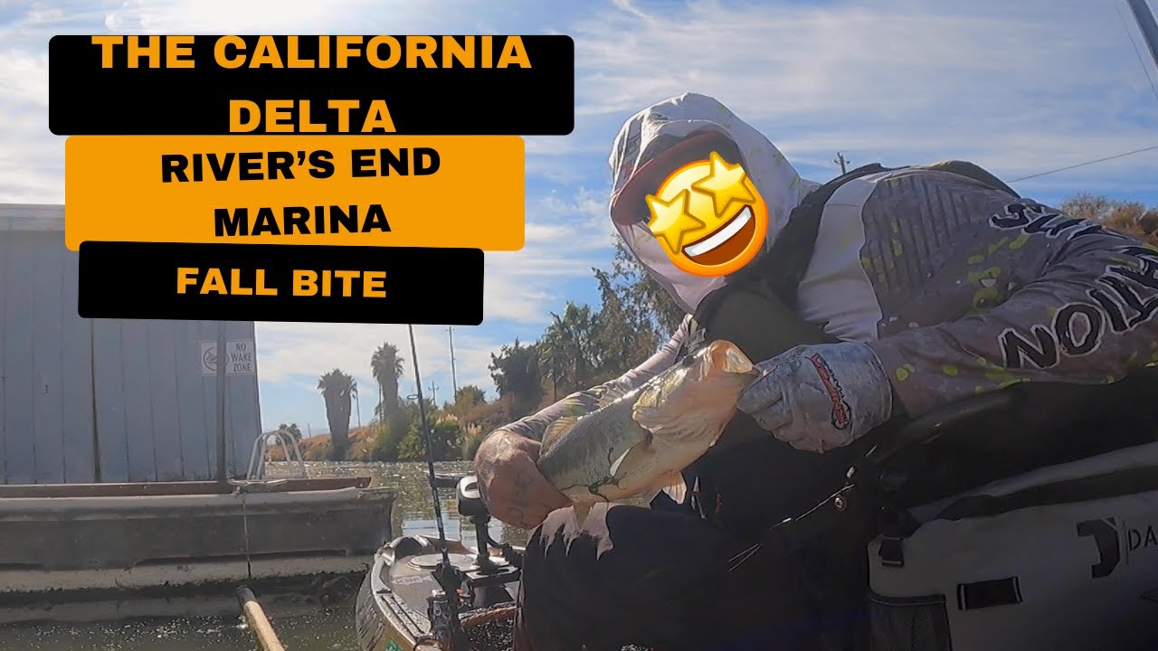 california bass fishing fall bite oldtown sportsman for the win