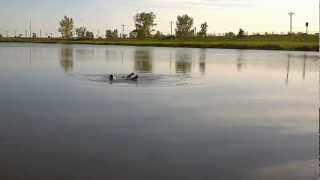 Homemade Mallard Machine