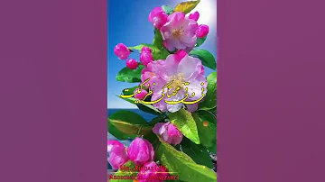 خواننده استاد نذیر بلوچ تو په کی غمگین و پریشانه 