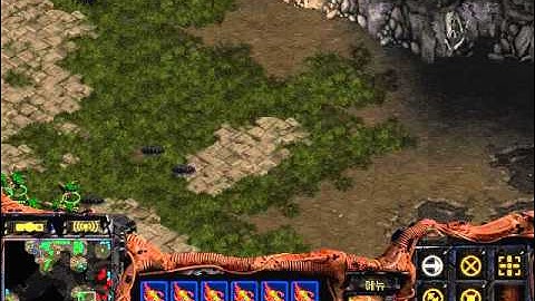 Starcraft Brood war Z vs T in Python 1.3